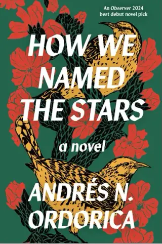 Produktfoto för How We Named the Stars