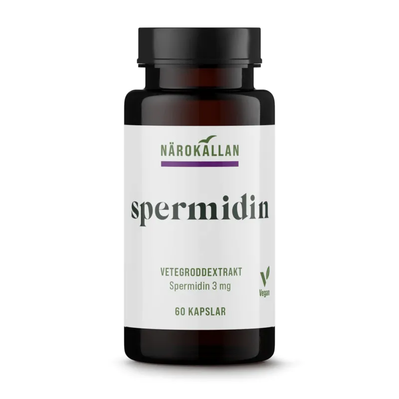 Bild 1 för Spermidin