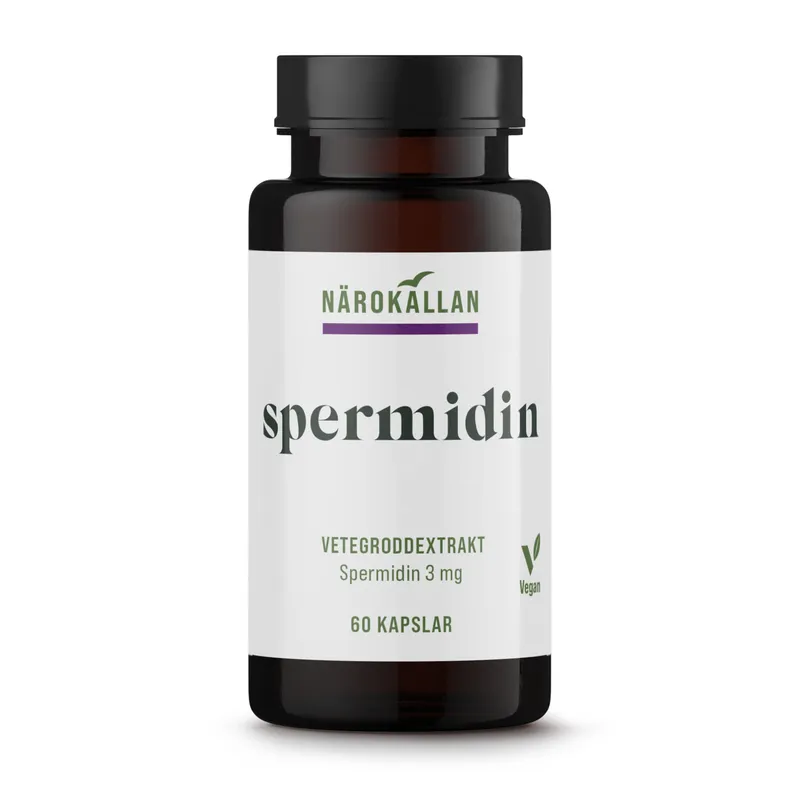 Bild 2 för Spermidin