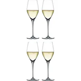 Produktfoto för Spiegelau Authentis Champagneglas 4-pack
