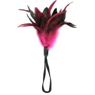 Produktfoto för Sportsheets Pleasure Feather Tickler Rosa