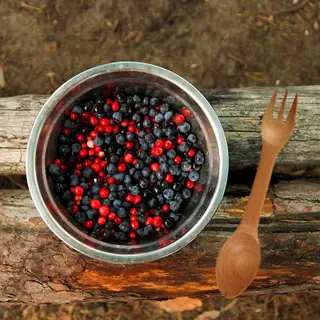 Produktfoto för Stabilotherm Spork i trä