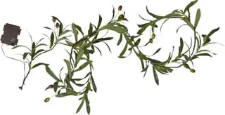 Produktfoto för Star Trading 860-54 Girland Olivec