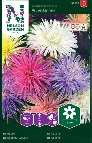 Produktfoto för Strålaster 'Prinette', mix