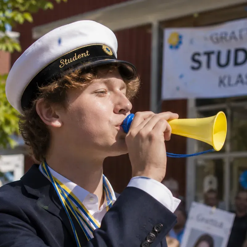 Bild 2 för Sverigetuta