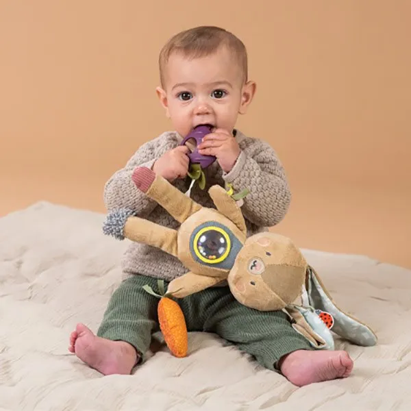 Bild 2 för Taf Toys Jenny the Bunny aktivitetsleksak