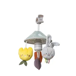 Produktfoto för Taf Toys mini mobil, Garden