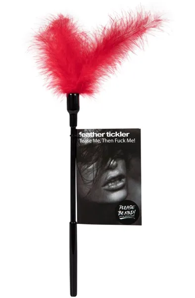 Bild 1 för Tease Me Then Fuck Me Feather Tickler - Red