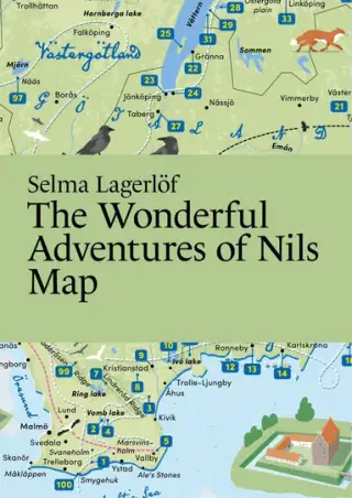 Produktfoto för The wonderful Adventures of Nils Map - Literary Map