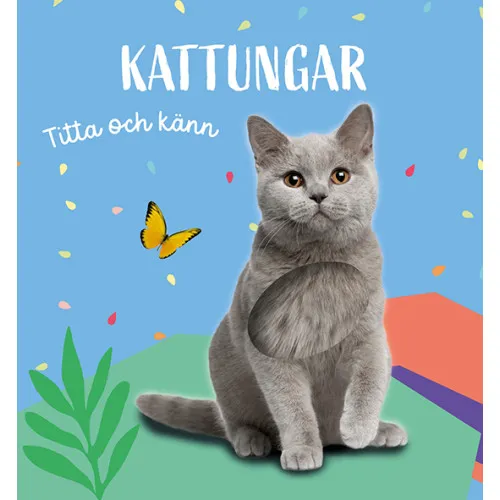 Alternativ bild 0 för Titta och känn Kattungar