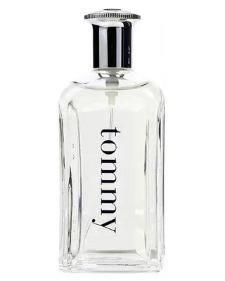 Produktfoto för Tommy Hilfiger Tommy EDT 100 ml