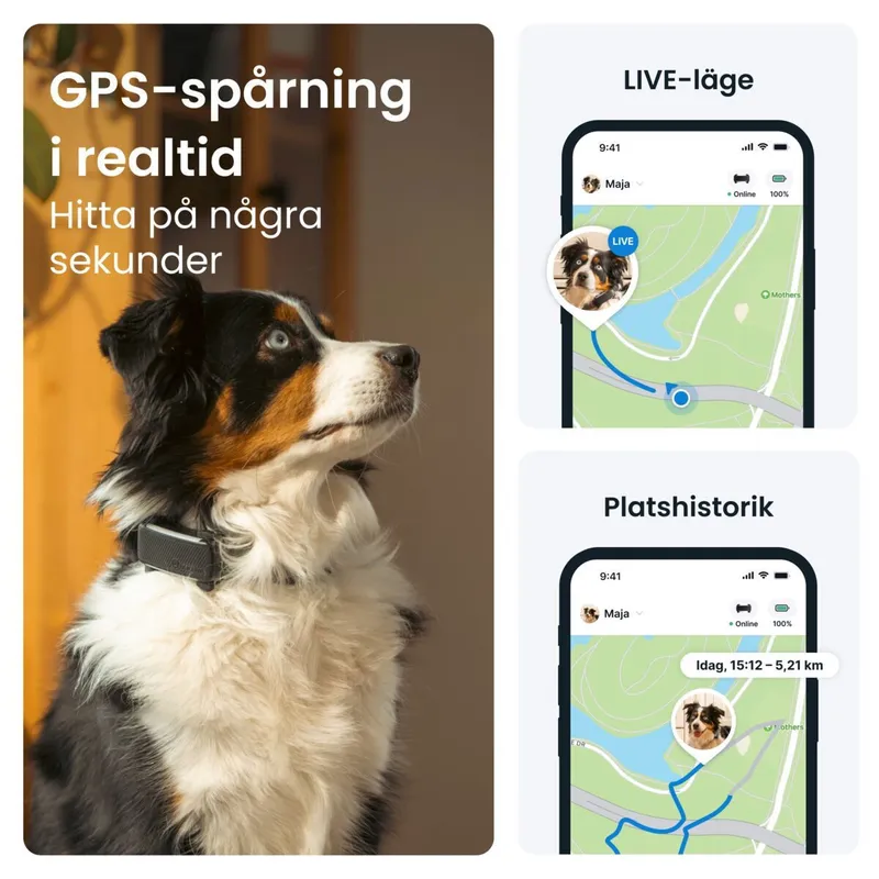 Bild 2 för Tractive GPS & Health Tracker för Hundar Svart