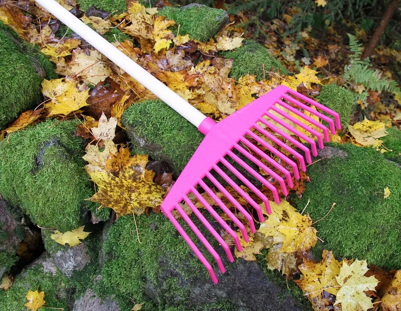 Bild 2 för Trädgårdsräfsa ergonomisk, cerise