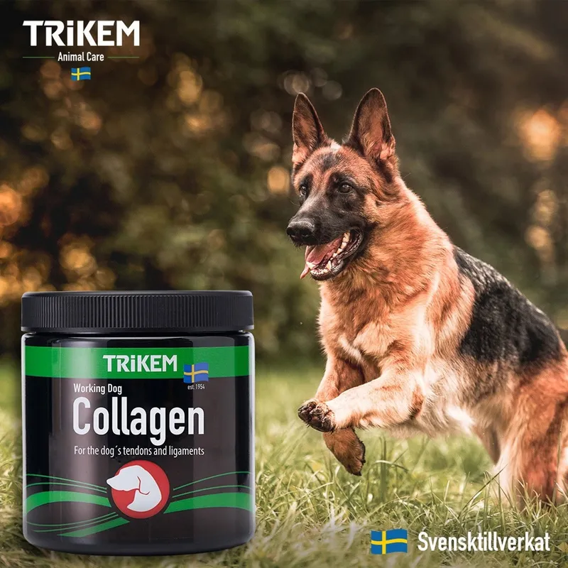 Bild 2 för Trikem TRIKEM Working Dog Collagen 350 g