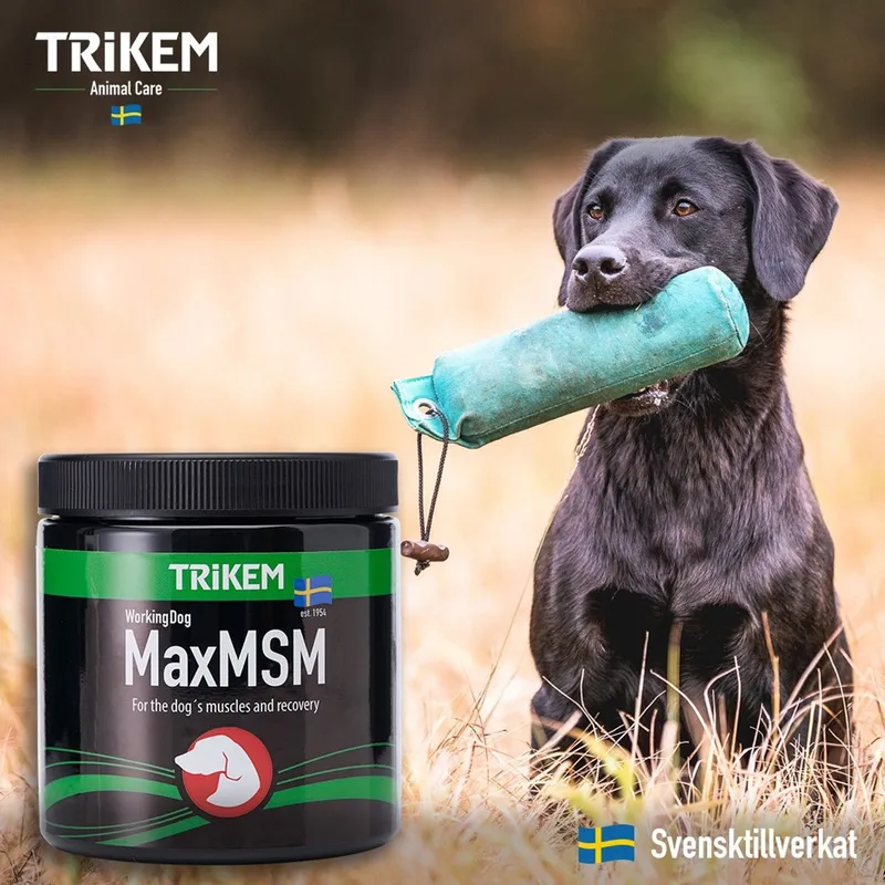Bild 2 för Trikem Working Dog Max MSM 450 g