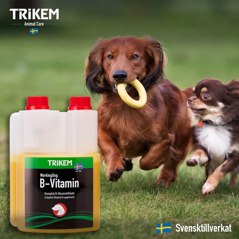 Bild 2 för Trikem WorkingDog B-Vitamin (3 liter)