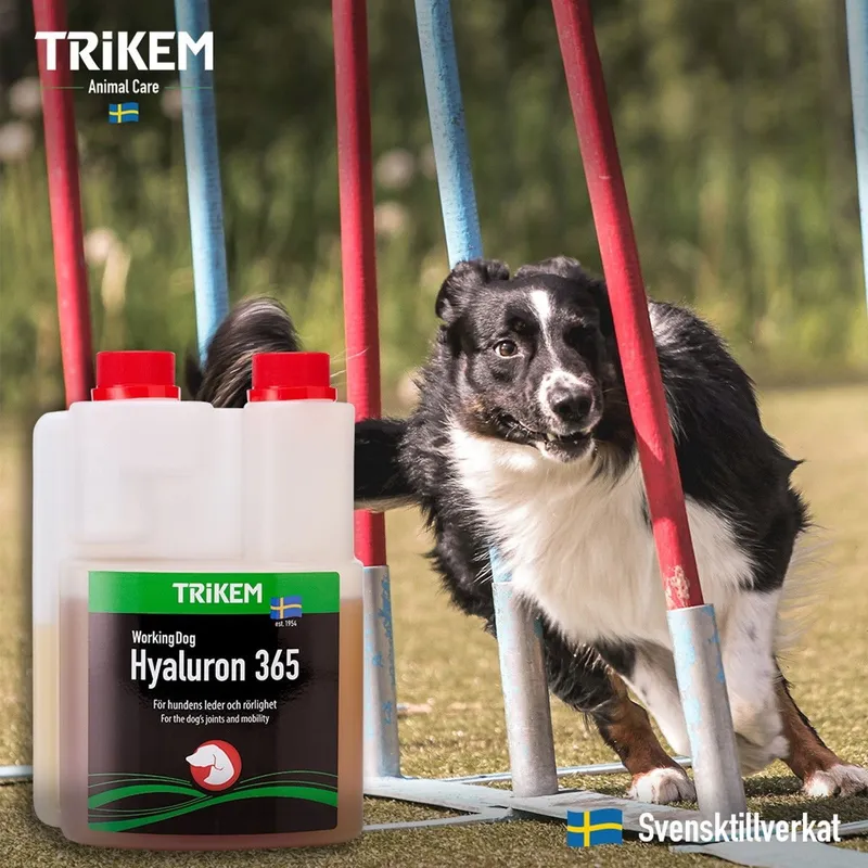 Bild 2 för Trikem WorkingDog Hyaluron 365 (3 liter)