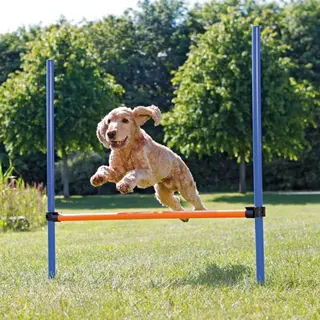 Produktfoto för Trixie Agility spring 115 x ø 3,3 cm