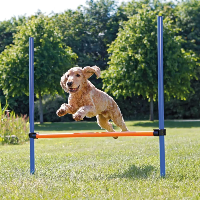 Bild 1 för Trixie Agility spring 115 x ø 3,3 cm