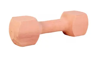 Produktfoto för Trixie Apportbuk trä med kant 400g