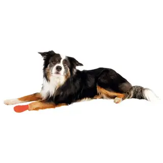 Produktfoto för Trixie Bandage med Bitter Smak (1 kpl)