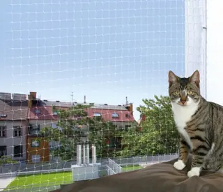 Produktfoto för Trixie Beskyttelsesnet 8x3 m transp.
