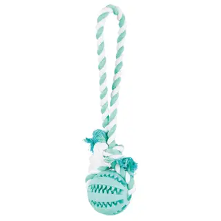 Produktfoto för Trixie Denta Fun Playing Rope with Ball ø 7/24 cm