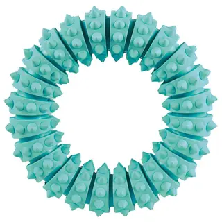Produktfoto för Trixie Denta Fun Tuggring Mint
