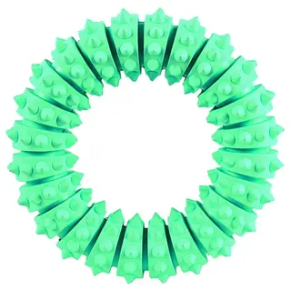 Produktfoto för Trixie Denta Fun Tuggring Mint