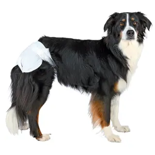 Produktfoto för Trixie Diapers for female dogs XS-S: 20-28 cm 12 pcs.