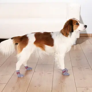 Produktfoto för Trixie Dog Socks Anti-slip 2 pcs. L-XL