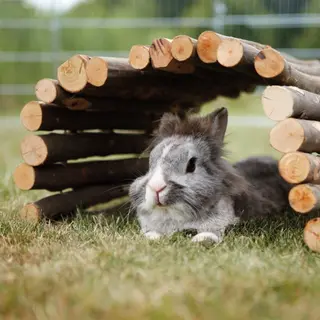 Produktfoto för Trixie Flexibel Träbro (L)