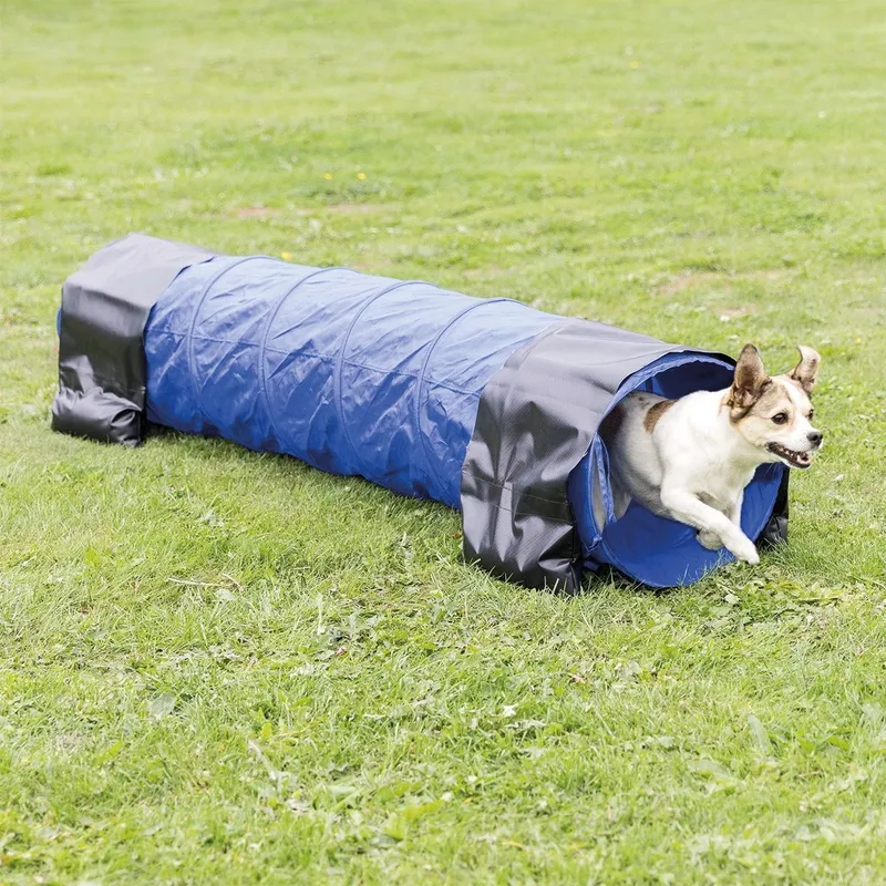 Bild 2 för Trixie Fun Agility mini tunnel ø 40 cm/2 m blue