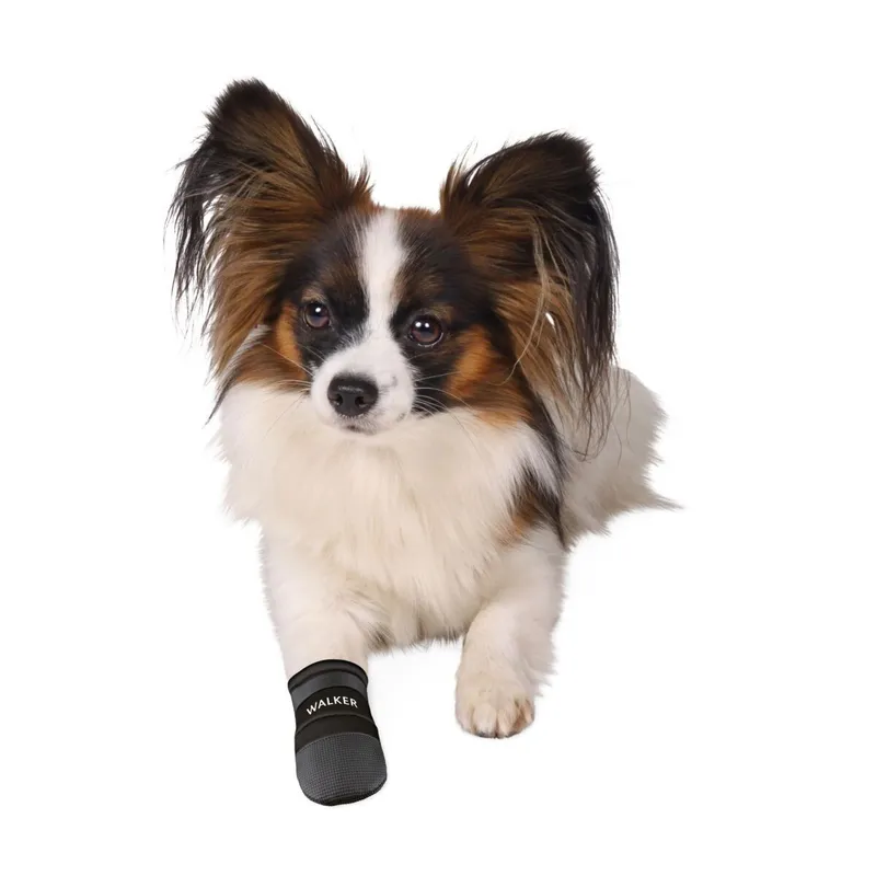 Bild 1 för Trixie Hundsko Neopren 2-pack (M)