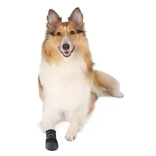 Produktfoto för Trixie Hundsko Neopren 2-pack (XL)