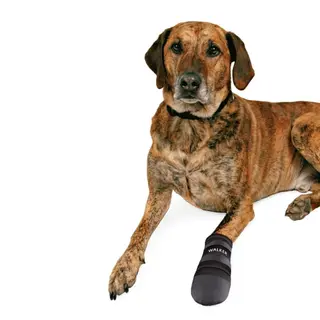Produktfoto för Trixie Hundsko Neopren 2-pack (XXL)