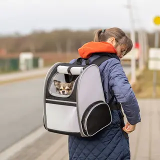 Produktfoto för Trixie Hundväska Ryggsäck Ljusgrå
