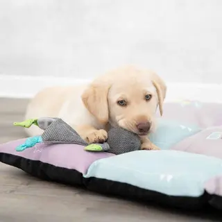 Produktfoto för Trixie Junior Bear 28 cm