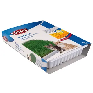 Produktfoto för Trixie Kattgräs vitaminberikad med odlingslåda 100 g