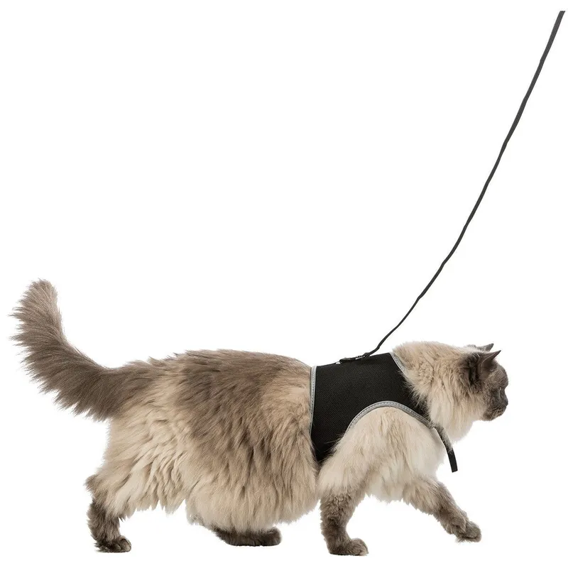 Alternativ bild 0 för Trixie Kattsele med Koppel XL