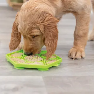 Produktfoto för Trixie Lick'n'Snack mat with suction pad, silicone, 17 cm, green