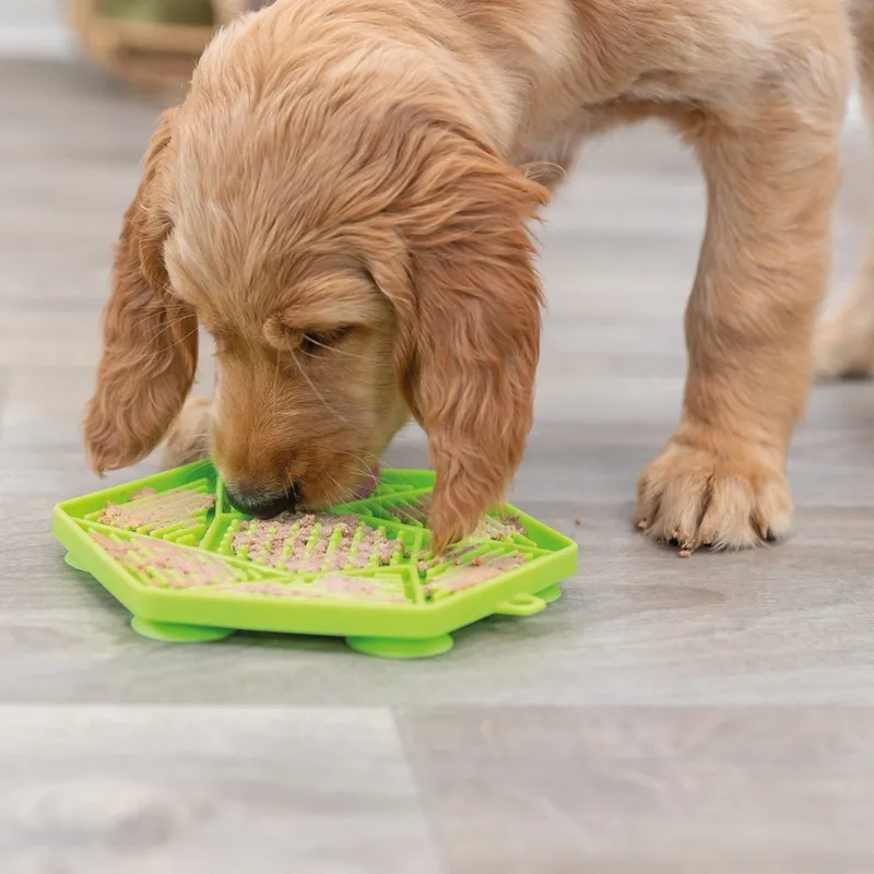 Bild 1 för Trixie Lick'n'Snack mat with suction pad, silicone, 17 cm, green