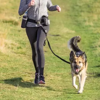 Produktfoto för Trixie Löparbälte med Expanderlina