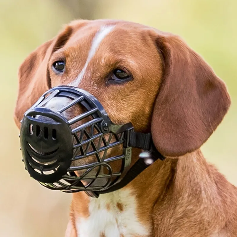 Bild 2 för Trixie Muzzle plastic M black