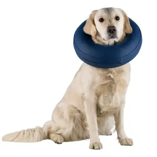 Produktfoto för Trixie Protective Uppblåsbar Skyddskrage (M/L)