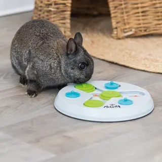 Produktfoto för Trixie Slide & Fun Board plastic ø 23 cm