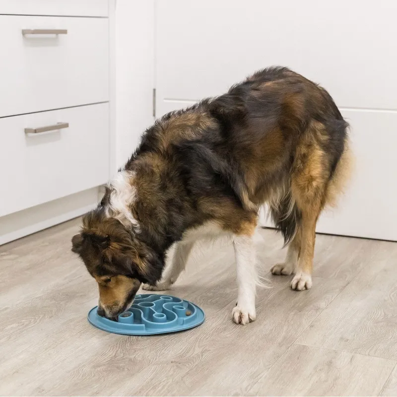 Bild 2 för Trixie Slow Feeding mat, TPE, ø 28 cm, blue