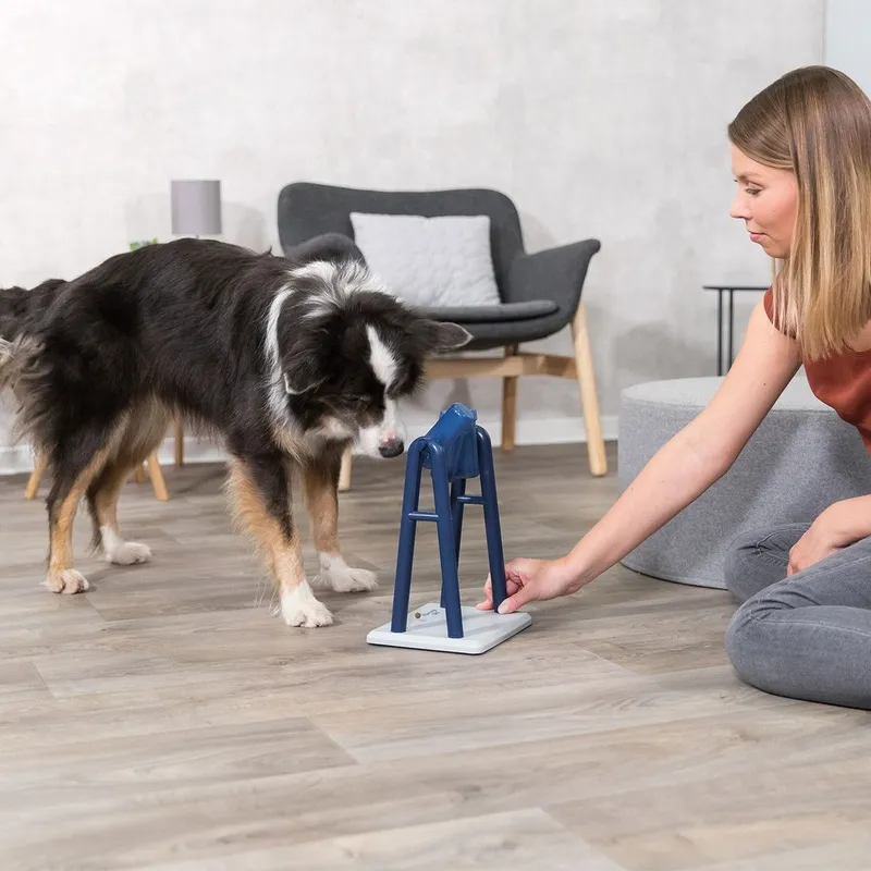 Bild 2 för Trixie Turn Around Aktivitetspel Till Hund