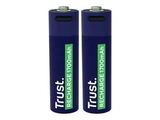 Produktfoto för Trust 2 x AA USB-C Rechargeable