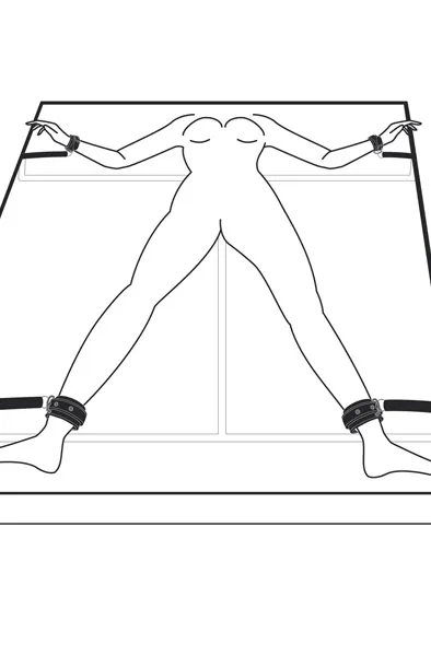 Bild 2 för Under the Bed Restraint System